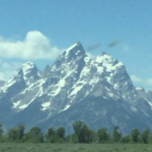 Meet your Posher, Benjamin